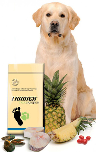 Trainer Top Breeder Power Adult (Лосось)