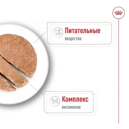 Royal Canin Mini Adult (паштет) для собак