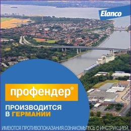 Elanco Профендер для кошек от 2,5 до 5 кг