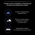 Pro Plan Indoor (Лосось в соусе) для кошек