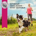 Eukanuba Adult All Breed (Ягненок в соусе) для собак