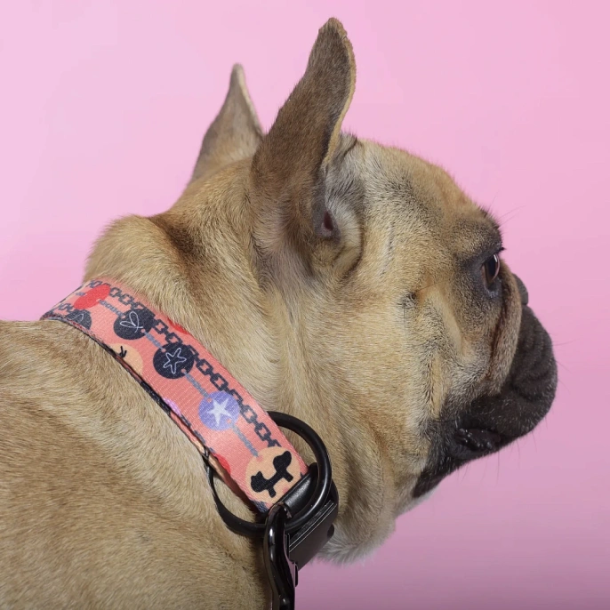 United Pets Ошейник Complete me Forever, оранжевый с рисунком для собак