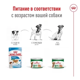Royal Canin Mini Ageing (паштет) для собак