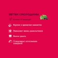 Little One "Ветви смородины" для грызунов
