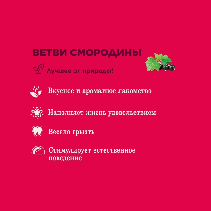 Little One "Ветви смородины" для грызунов