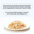 Wanpy Cat Консервы Курица с крабом для кошек