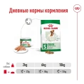 Royal Canin Mini Adult (паштет) для собак