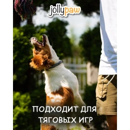 Jollypaw Игрушка в виде веревки с двумя узлами для собак