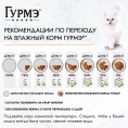Консервы Gourmet Натуральные рецепты Лосось-гриль с зеленой фасолью для кошек