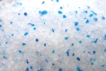 Clean Cat Наполнитель силикагелевый (Без запаха) для кошек