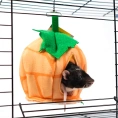 Bambini Pets Домик Тыковка для грызунов и хорьков для грызунов