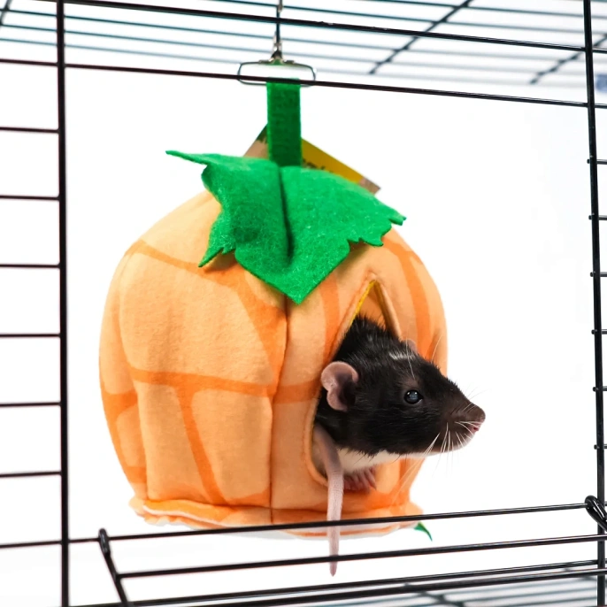 Bambini Pets Домик Тыковка для грызунов и хорьков для грызунов