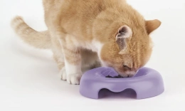 United Pets Миска Kitty-Cat, 120 мл для кошек