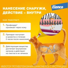 Elanco Профендер для кошек от 2,5 до 5 кг