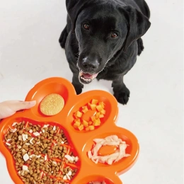 PetDreamHouse Миска для медленного кормления PAW Slow Feeder для собак