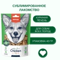 Wanpy Dog Сублимированное лакомство Курица и печень для собак