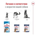 Royal Canin Ageing Maxi 8+ (в паштете) для собак