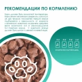 Kissa Пауч для кошек (Кролик в соусе)