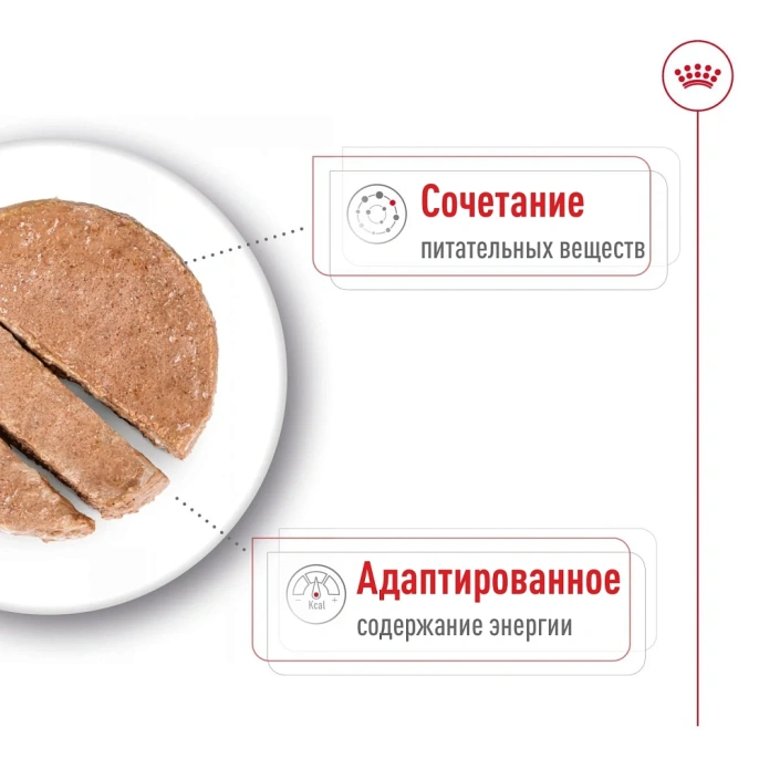 Royal Canin Mini Ageing (паштет) для собак