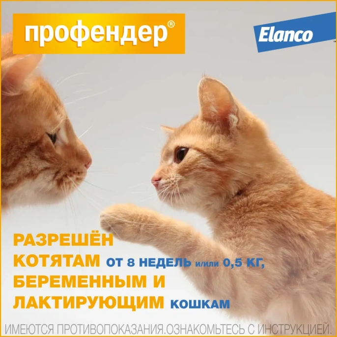 Elanco Профендер для кошек от 2,5 до 5 кг для питомцев