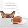 Yumster Adult Cat Паштет (Лосось) для кошек