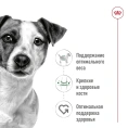 Royal Canin Mini Adult (паштет) для собак
