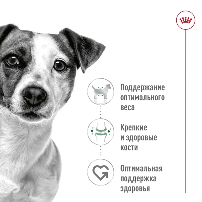 Royal Canin Mini Adult (паштет) для собак