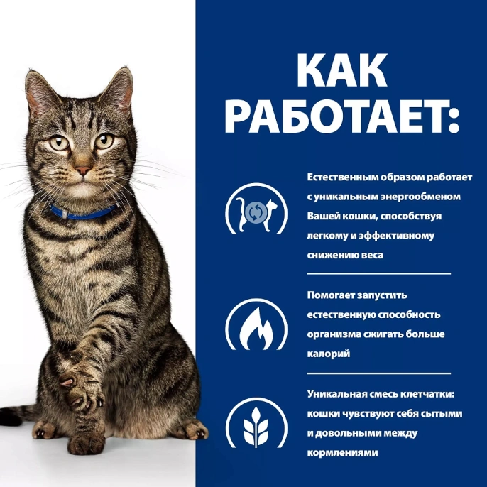 Hill's Prescription Diet Metabolic Влажный корм для кошек (Курица)