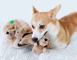 OutwardHound Игрушка-головоломка для собак Hide-A-Squirrel Спрячь белку