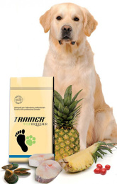 Trainer Top Breeder Power Adult (Лосось)