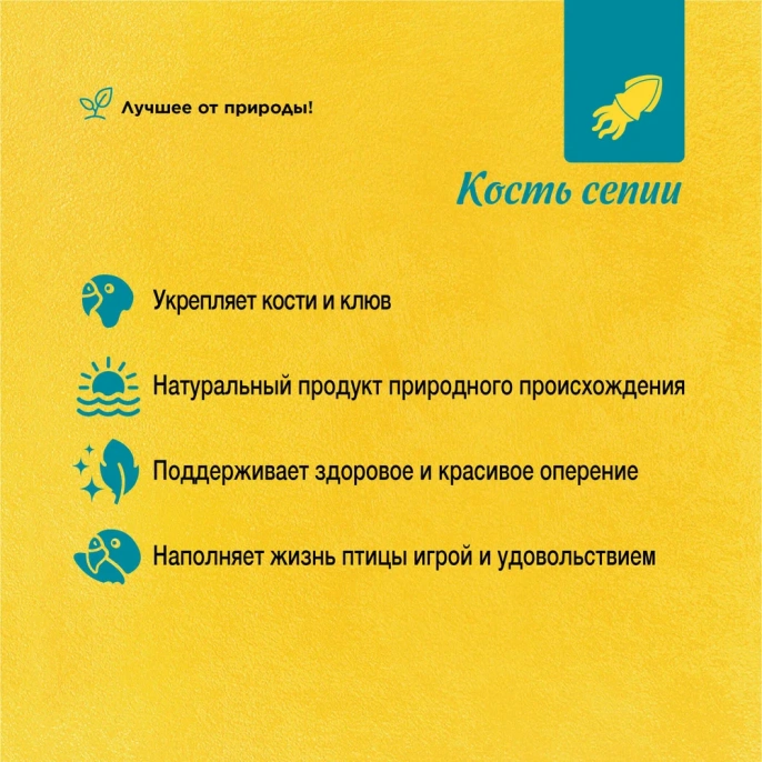 RIO Кость сепии для птиц