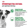 Royal Canin Mini Adult (в соусе) для собак