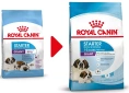 Royal Canin Giant Starter, 3,5 кг
