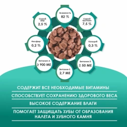 Kissa Пауч для кошек (Кролик в соусе)