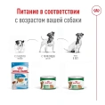 Royal Canin Mini Adult (паштет) для собак