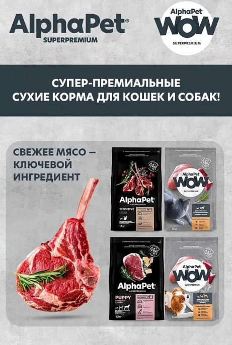 AlphaPet WOW Superpremium Говядина и томленая тыква сочные ломтики в соусе для собак