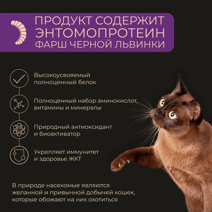 Yumster Adult Cat Паштет (Лосось) для кошек