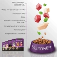Yumster Kitten (Рыба в соусе) для кошек