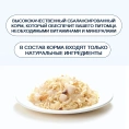Wanpy Cat Консервы Курица с гребешком для кошек