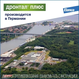Elanco Дронтал Плюс XL для собак и щенков крупных пород
