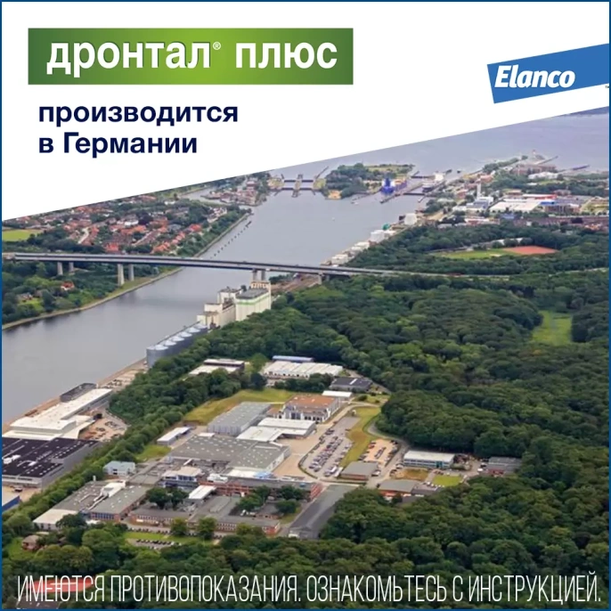 Elanco Дронтал Плюс XL для собак и щенков крупных пород для питомцев