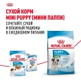 Royal Canin Mini Puppy (в соусе) для собак
