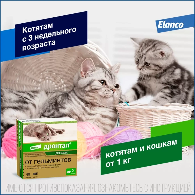 Elanco Дронтал для кошек для питомцев