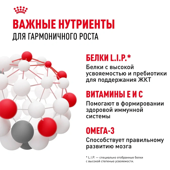 Royal Canin Mini Puppy (в соусе) для собак