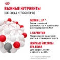 Royal Canin Mini Adult (в соусе) для собак