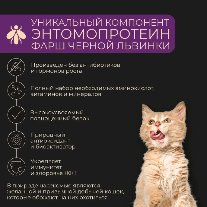Yumster Kitten (Рыба в соусе) для кошек