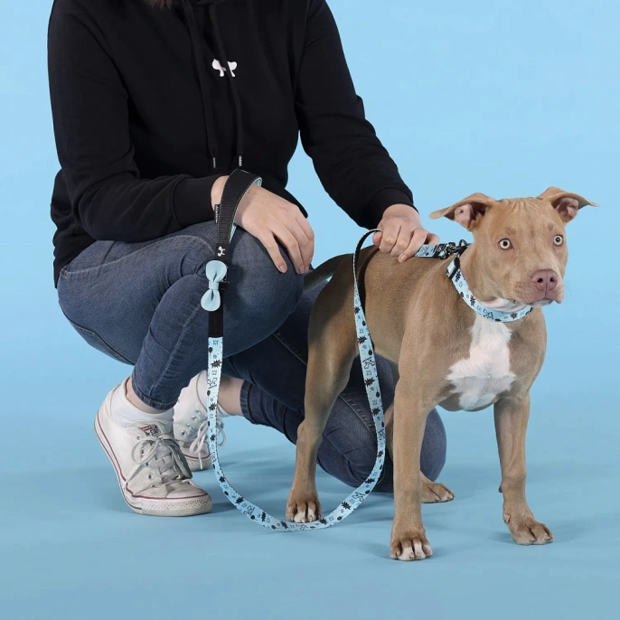 United Pets Ошейник Complete me Writing, голубой с рисунком для собак