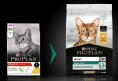 Корм Purina Pro Plan Adult Renal Plus (Курица), 400 г