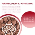 Kissa Пауч для кошек (Говядина в соусе)