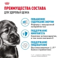Royal Canin Mini Puppy (в соусе) для собак